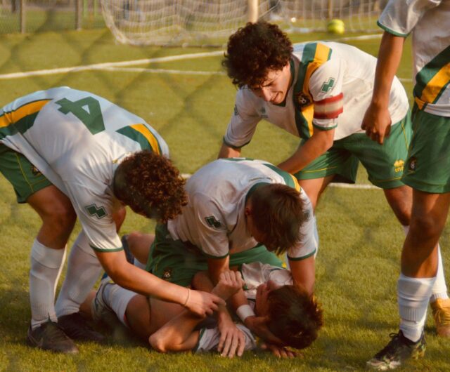 Tutti i marcatori gialloverdi